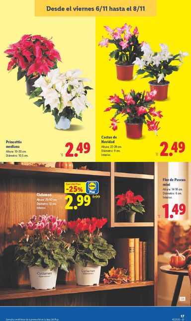Folleto Lidl - Lidl del 02/11 al 08/11 - página 39