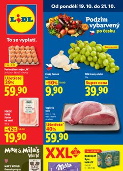 Lidl leták od pondělí 19.10.