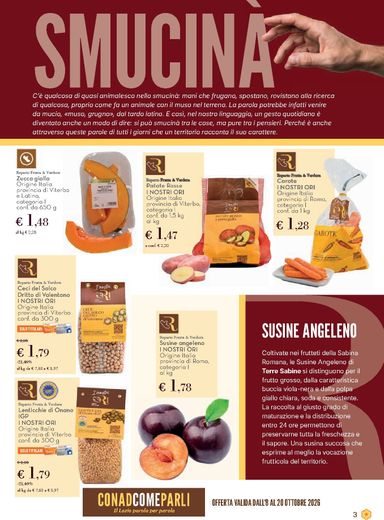 Volantino Conad City - Conad City - Gajardo valido dal 08/10 al 20/10 - pagina 3