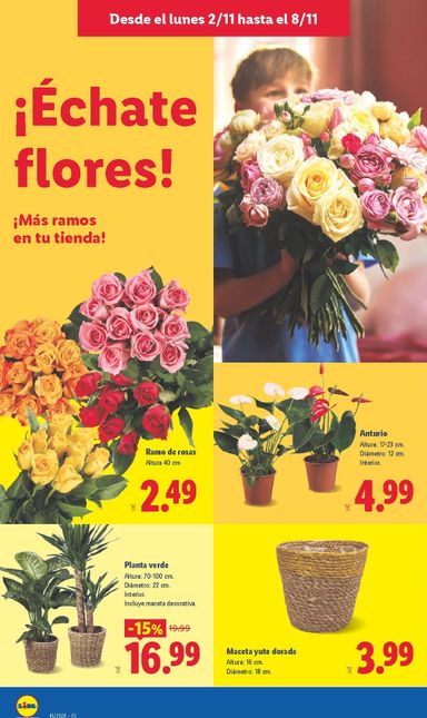 Folleto Lidl - Lidl del 02/11 al 08/11 - página 38