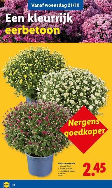 Folder Lidl - Lidl van 19/10 tot 24/10 - side 20