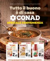 Conad - Tutto il buono è di casa valido da mercoledì 28/10/2026