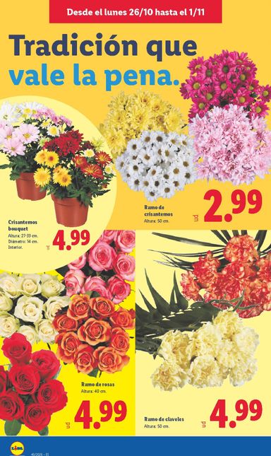 Folleto Lidl - Lidl del 26/10 al 01/11 - página 48
