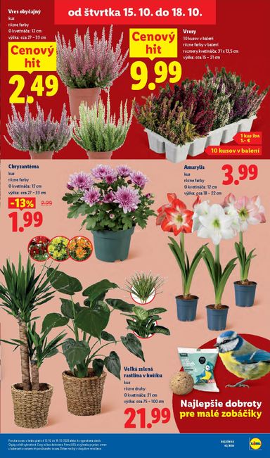 Leták Lidl - Lidl od 12.10. do 18.10. - strana 108