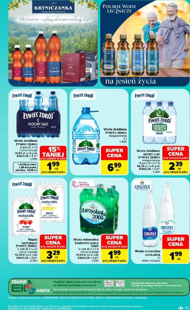 Gazetka Carrefour - Carrefour od 19.10. do 24.10. - strona 45