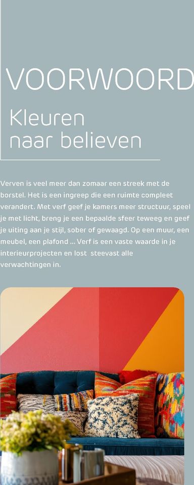 Folder Brico - Brico - Verf Magazine van 19/05 tot 31/12 - side 2