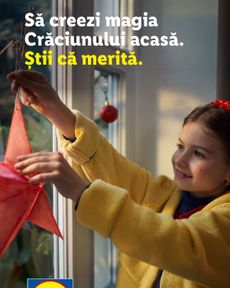 Lidl - Decorațiuni