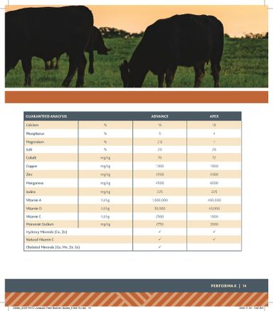 Flyer Co-op - Coop - Rural Routes valid since 01-15 until 01-06 - page 15