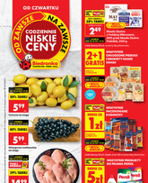 Biedronka gazetka