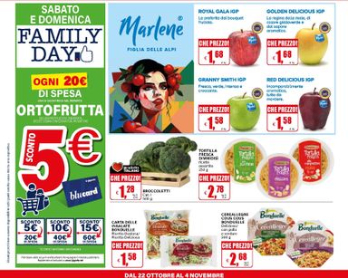 Volantino Il Gigante - Il Gigante valido dal 22/10 al 04/11 - pagina 28