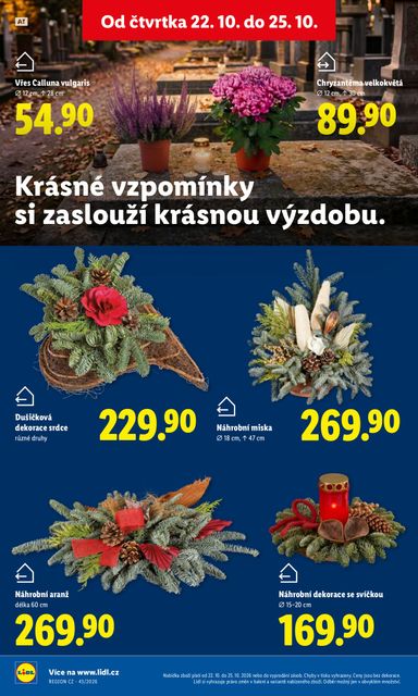 Leták Lidl - Lidl od 22.10. do 25.10. - strana 49