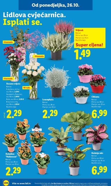 Katalog Lidl - Lidl vrijedi od 26.10. do 31.10. - stranica 62