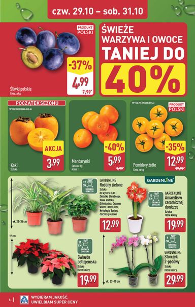 Gazetka ALDI - ALDI - Oferta weekendowa od 29.10. do 31.10. - strona 6