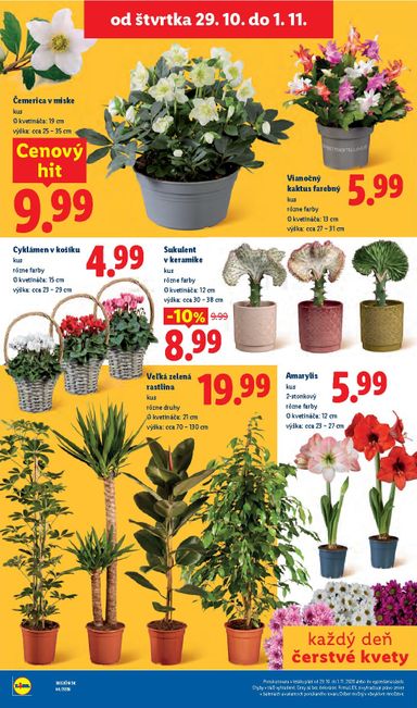 Leták Lidl - Lidl od 26.10. do 01.11. - strana 101