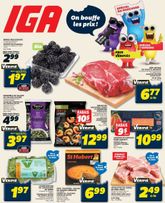 IGA flyer