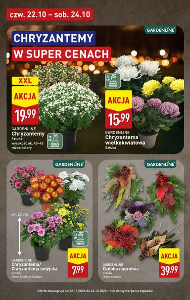 Gazetka ALDI - ALDI - Znicze i stroiki od 19.10. do 24.10. - strona 3