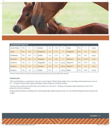 Flyer Co-op - Coop - Rural Routes valid since 01-15 until 01-06 - page 7