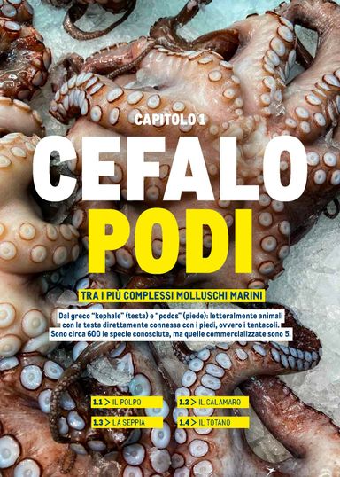 Volantino METRO - Metro - Catalogo Surgelati valido dal 01/01 al 31/12 - pagina 12