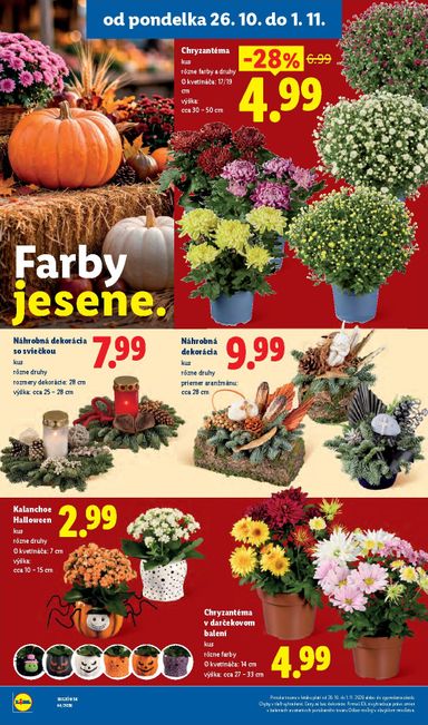 Leták Lidl - Lidl od 26.10. do 01.11. - strana 53