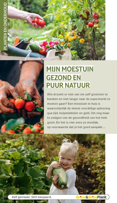 Folder Brico - Brico - Tuin catalogus van 01/03 tot 31/12 - side 144