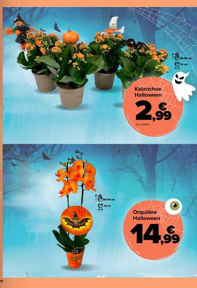 Folleto Carrefour - Carrefour - Halloween del 06/10 al 31/10 - página 10
