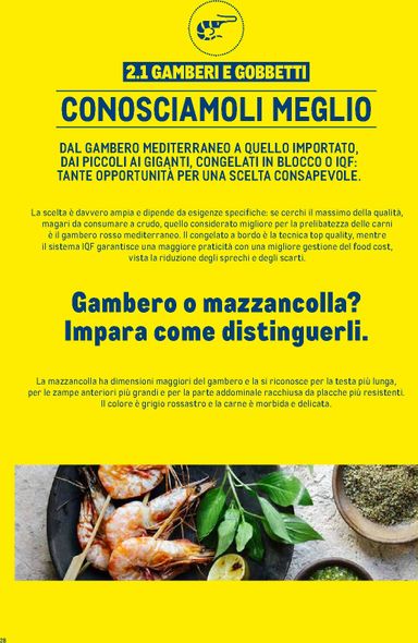 Volantino METRO - Metro - Catalogo Surgelati valido dal 01/01 al 31/12 - pagina 28