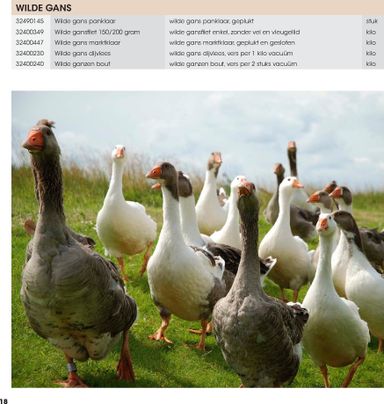 Folder Hanos - HANOS - Wildbrochure van 06-09 tot 31-12 - side 18
