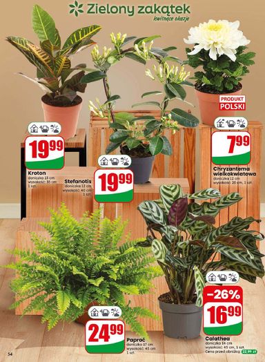 Gazetka Dino - Dino od 28.10. do 03.11. - strona 54