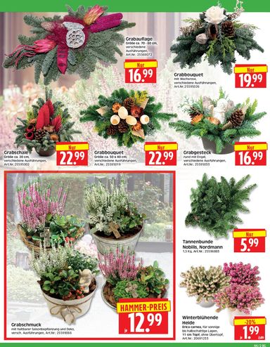 Prospekt Herkules - Herkules - Bau & Garten gültig ab 26.10. bis 31.10. - seite 2