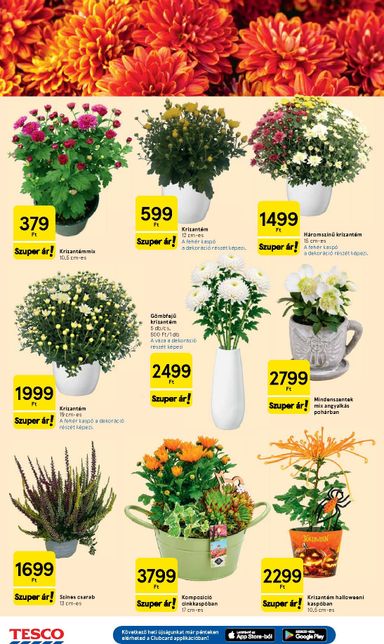 Akciós újság Tesco - Tesco érvényes 10.21.-tól 10.28.-ig - 20 oldal