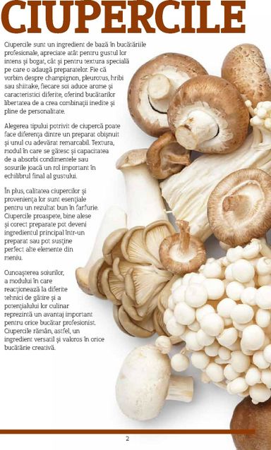 Catalogul Metro - Metro - Catalog Varietăți de Ciuperci de la 10.11. până la 31.10. - pagina 2