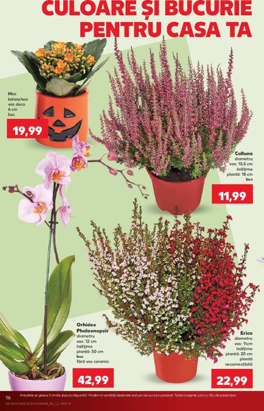 Catalogul Kaufland - Kaufland de la 21.10. până la 27.10. - pagina 16