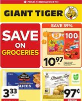 Giant Tiger flyer