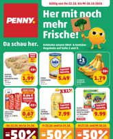PENNY-Flugblatt