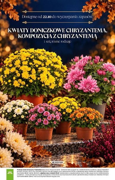 Gazetka Stokrotka - Stokrotka - Znicze od 15.10. do 04.11. - strona 16