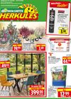 Herkules - Bau & Garten