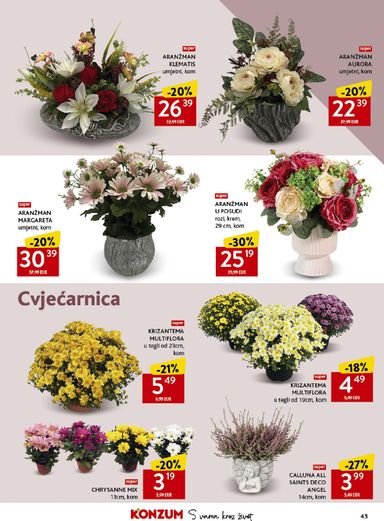 Katalog Konzum - Konzum vrijedi od 21.10. do 27.10. - stranica 43