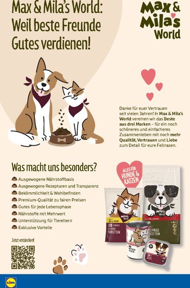 Prospekt Lidl - Lidl gültig ab 19.10. bis 24.10. - seite 16