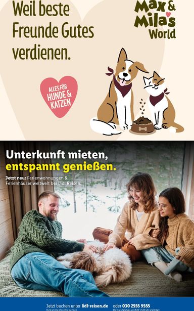 Prospekt Lidl - Lidl - Urlaub mit Hund gültig ab 29.07. bis 31.12. - seite 29