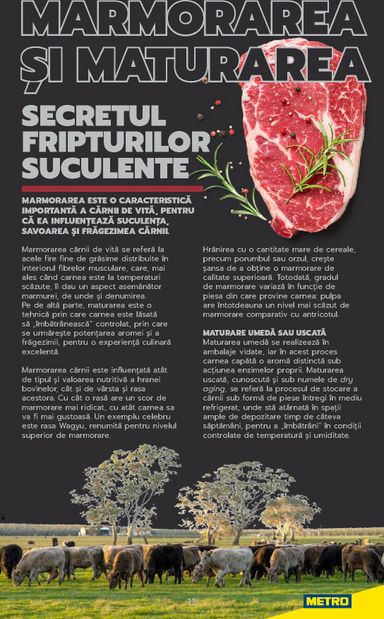 Catalogul Metro - Metro - Carne pentru Profesioniști de la 01.01. până la 31.12. - pagina 13