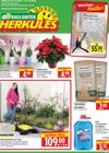 Herkules - Bau & Garten