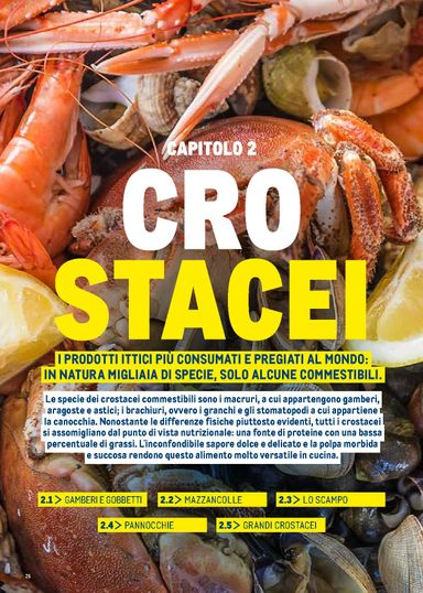 Volantino METRO - Metro - Catalogo Surgelati valido dal 01/01 al 31/12 - pagina 26