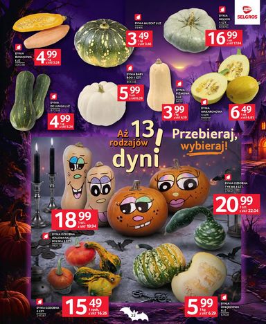 Gazetka Selgros - Selgros cash&carry - Oferta dla profesjonalistów od 22.10. do 04.11. - strona 22