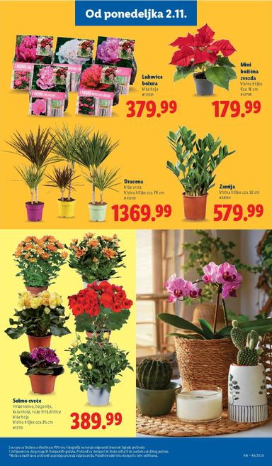Katalog Lidl - Lidl od 29.10 do 04.11 - strana 73