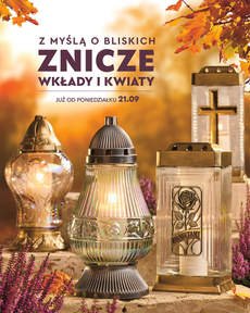 Biedronka - Znicze