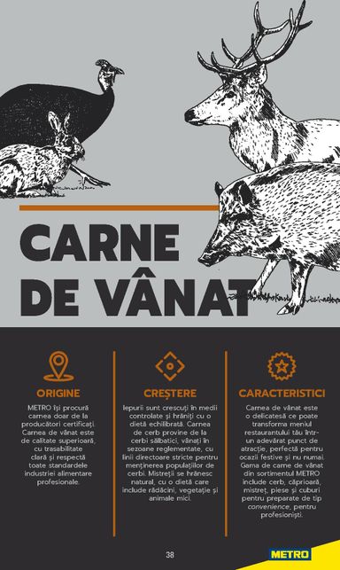 Catalogul Metro - Metro - Carne pentru Profesioniști de la 01.01. până la 31.12. - pagina 38
