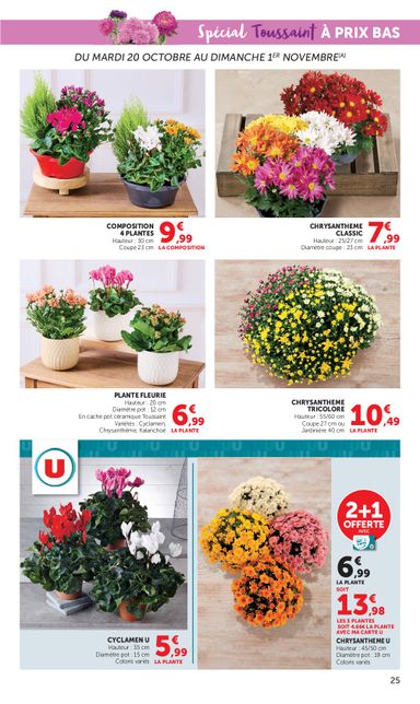 Catalogue Super U - Super U - Halloween à prix bas valable dès le 20/10 au 01/11 - page 25