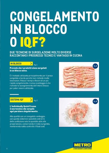 Volantino METRO - Metro - Catalogo Surgelati valido dal 01/01 al 31/12 - pagina 3