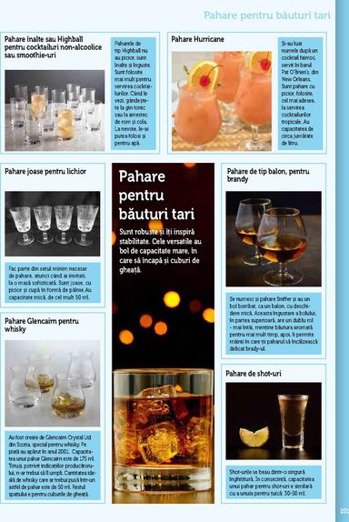 Catalogul Metro - Metro - Echipamente Profesionale pentru HoReCa de la 01.01. până la 31.12. - pagina 201
