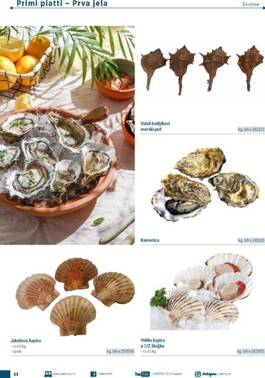 Katalog Metro - Metro - Poslovna rješenja - Trattoria vrijedi od 04.03. do 31.12. - stranica 44